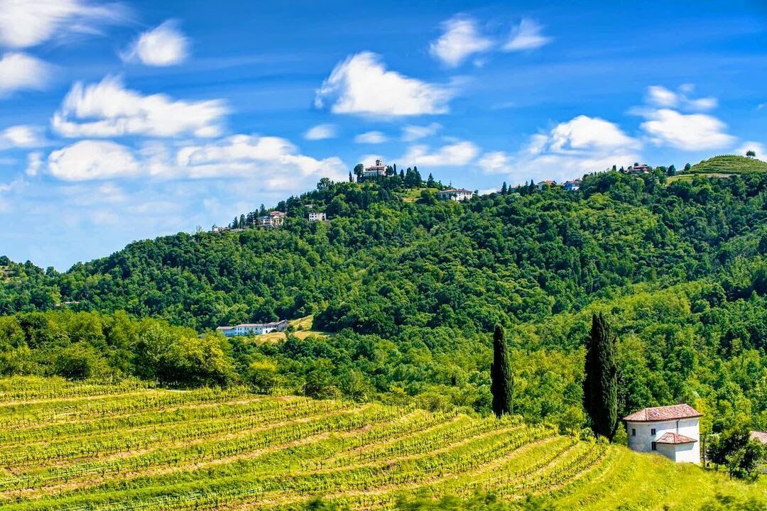 Passeggiata sensoriale nell'incantevole Parco del Curone Passeggiata sensoriale nell'incantevole Parco del Curone desktop picture