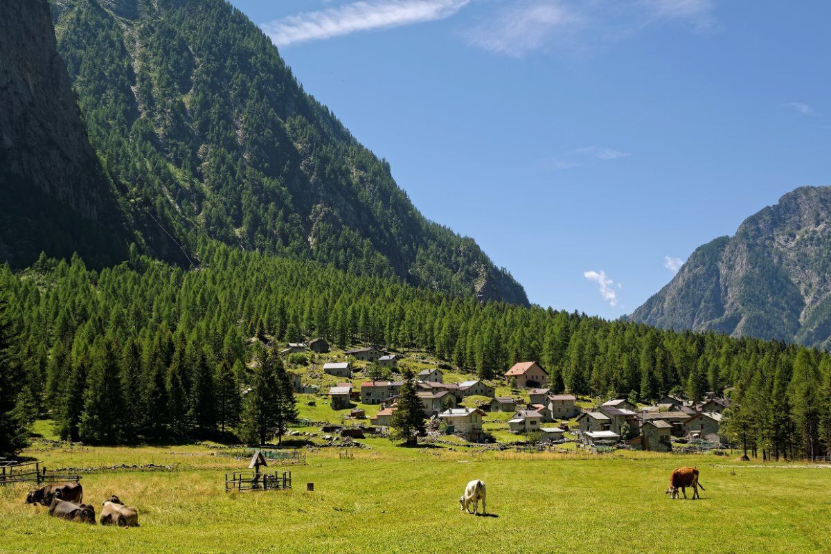 Trekking in Val Codera con Pranzo: il Gioiello delle Alpi Retiche desktop picture