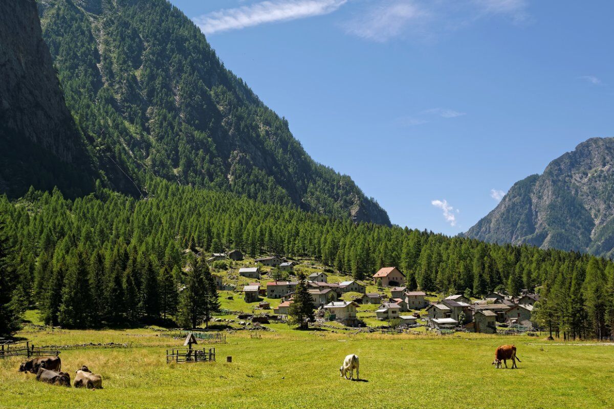 Trekking in Val Codera con Pranzo: il Gioiello delle Alpi Retiche Trekking in Val Codera con Pranzo: il Gioiello delle Alpi Retiche desktop picture