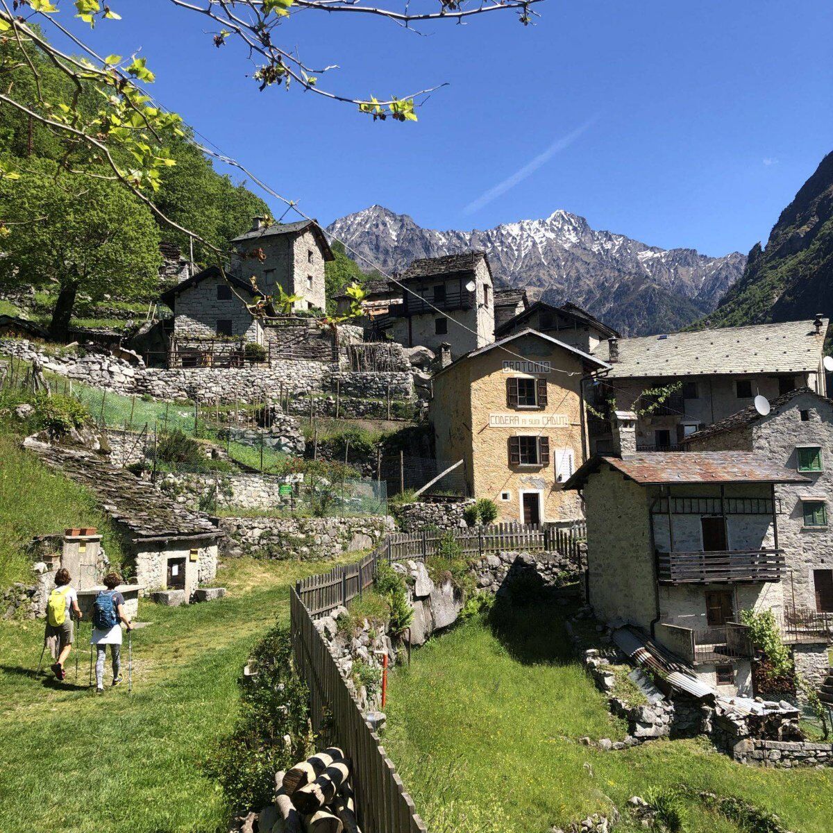 Trekking in Val Codera con Pranzo: il Gioiello delle Alpi Retiche desktop picture