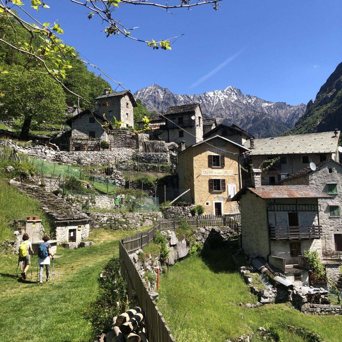 Trekking in Val Codera con Pranzo: il Gioiello delle Alpi Retiche Trekking in Val Codera con Pranzo: il Gioiello delle Alpi Retiche desktop picture