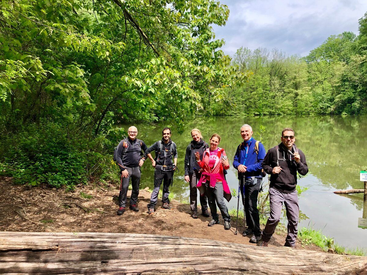 Novità - Passeggiata a Collecchio: il vestito invernale dei Boschi di Carrega Novità - Passeggiata a Collecchio: il vestito invernale dei Boschi di Carrega desktop picture