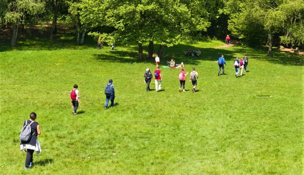 Tra Lecco e il Monte Barro: Passeggiata Sensoriale sul Lago di Como desktop picture