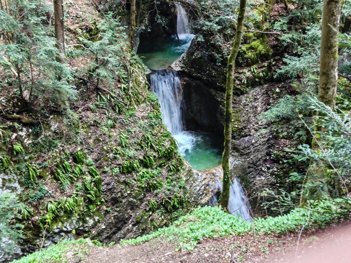 Trekking lungo il Sentiero del Vajo dell’Orsa desktop picture