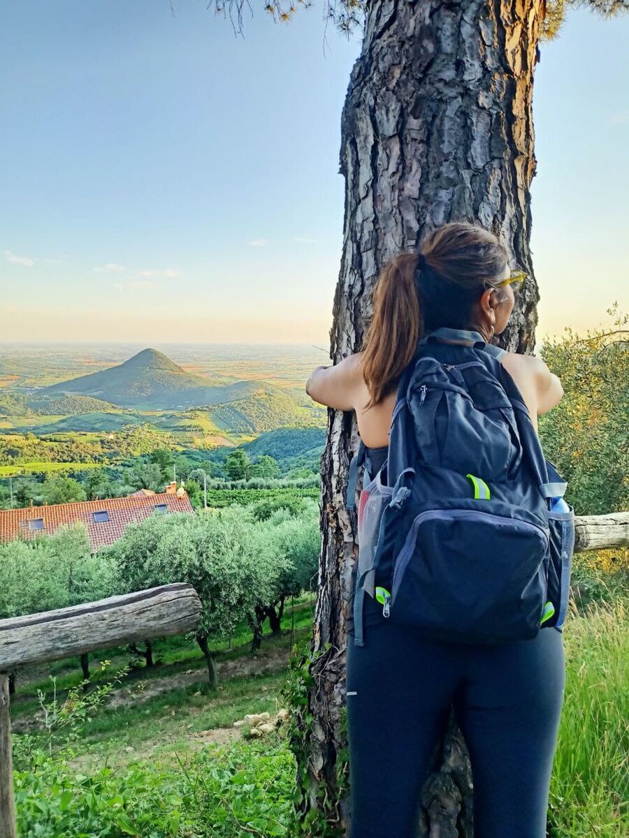 Bagno di Bosco Shinrin-Yoku al Tramonto sul Monte Venda Bagno di Bosco Shinrin-Yoku al Tramonto sul Monte Venda desktop picture