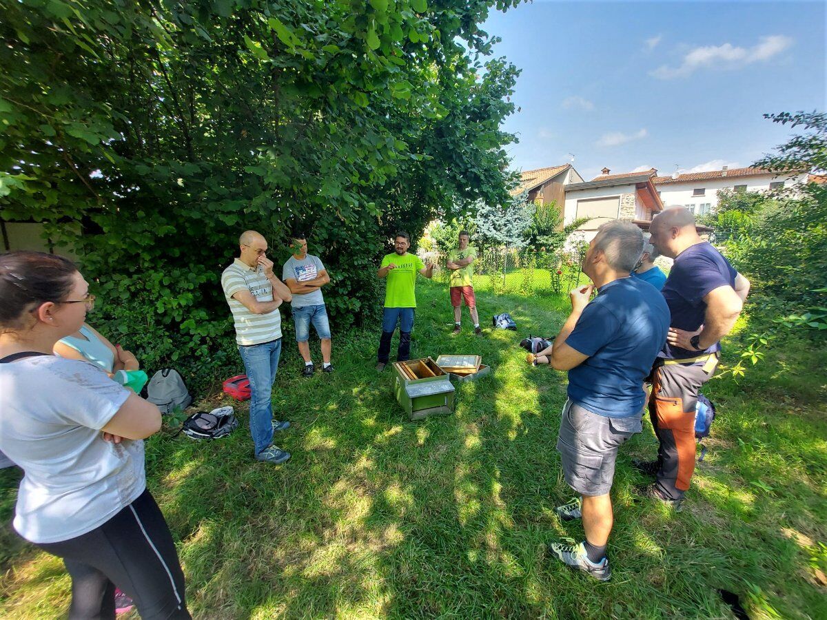 Una giornata nel mondo delle api a Schio Una giornata nel mondo delle api a Schio desktop picture