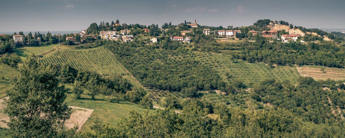 San Lorenzo in Collina: Un’Escursione tra la Lavanda desktop picture