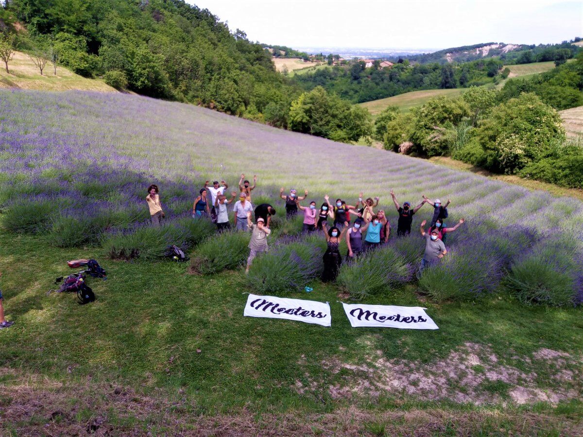 San Lorenzo in Collina: Un’Escursione tra la Lavanda desktop picture