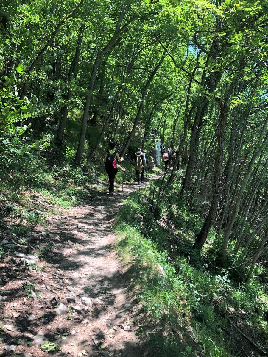 Trekking tra Storia e Natura: La Pietra di Bismantova Trekking tra Storia e Natura: La Pietra di Bismantova desktop picture