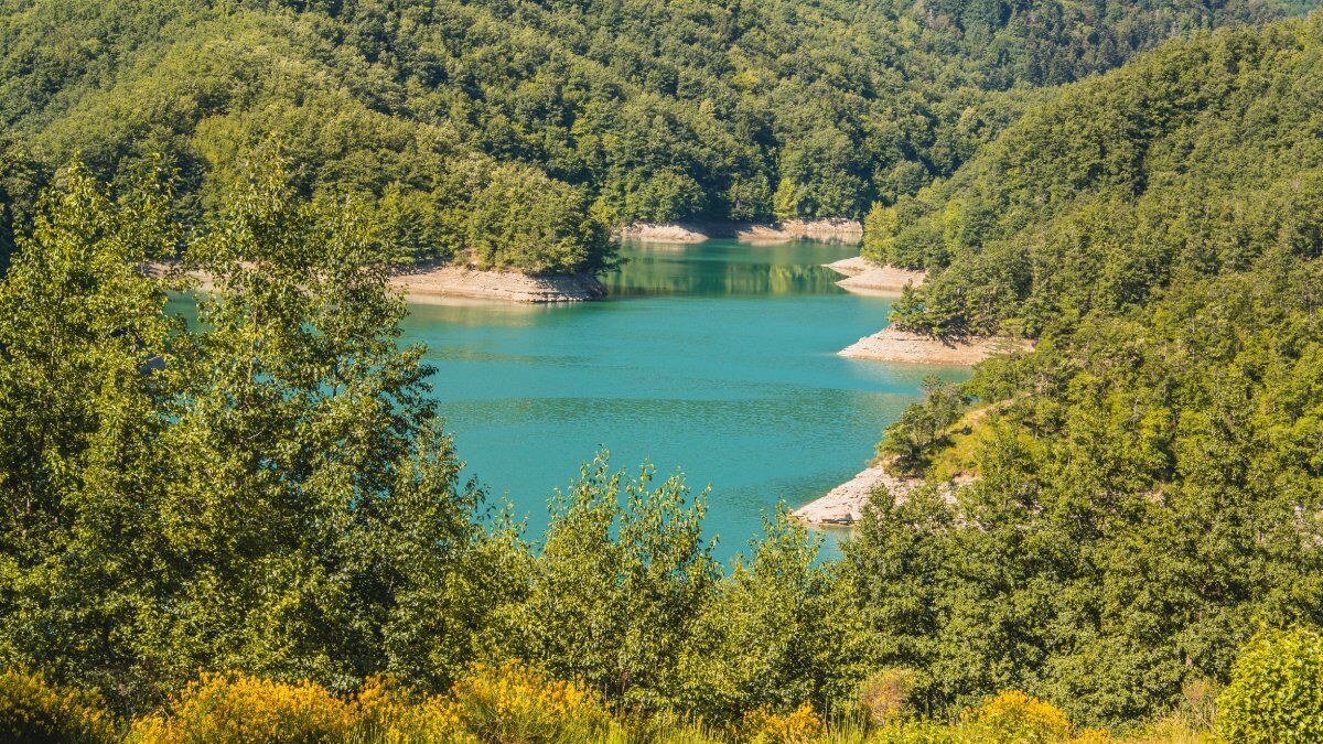 La Diga di Ridracoli: un Trekking nelle Foreste Casentinesi La Diga di Ridracoli: un Trekking nelle Foreste Casentinesi desktop picture