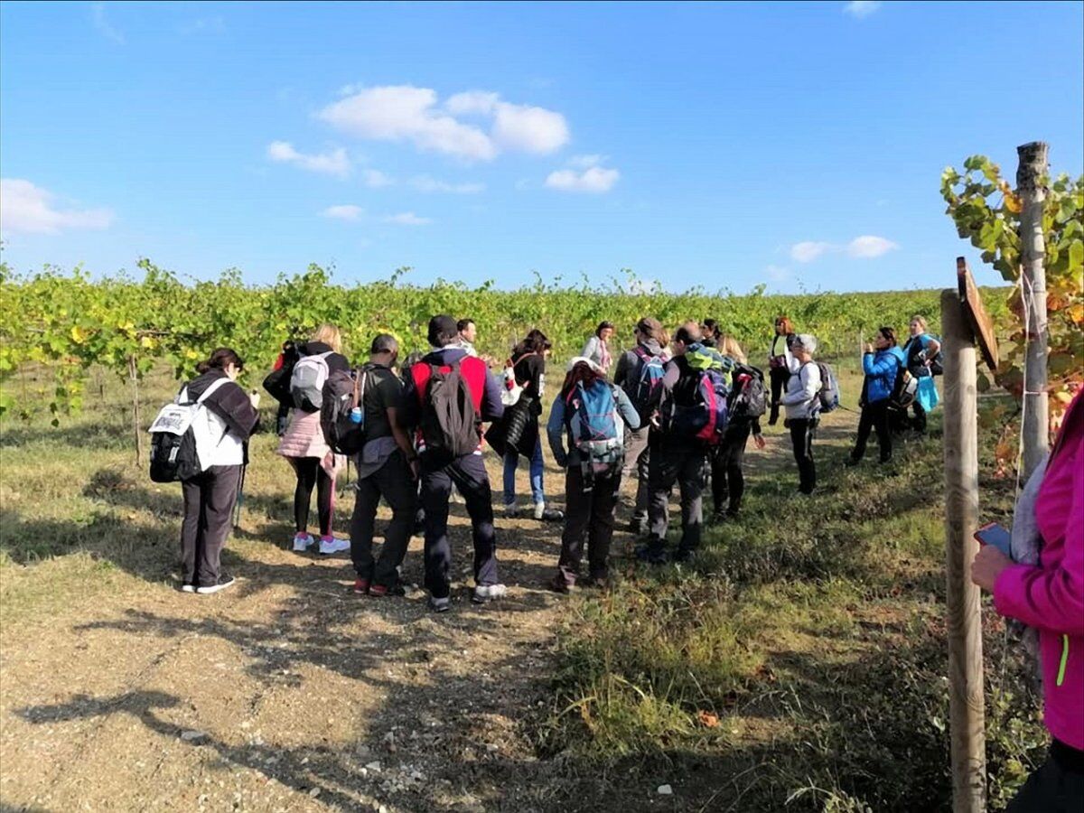 Camminata sulle Orme di San Colombano con Pranzo in Cantina desktop picture