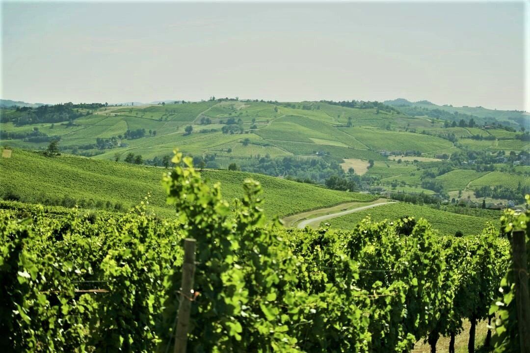 Camminata sulle Orme di San Colombano con Pranzo in Cantina Camminata sulle Orme di San Colombano con Pranzo in Cantina desktop picture