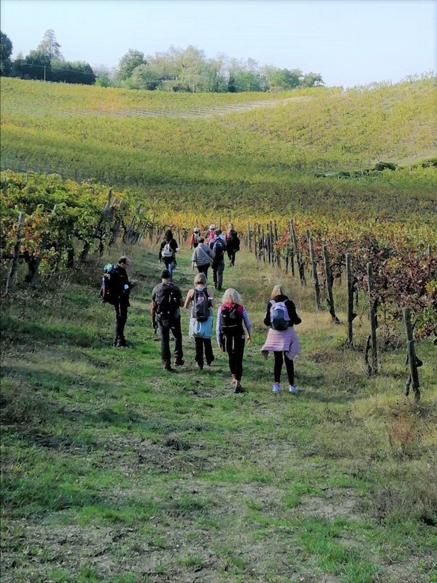 Camminata sulle Orme di San Colombano con Pranzo in Cantina Camminata sulle Orme di San Colombano con Pranzo in Cantina desktop picture