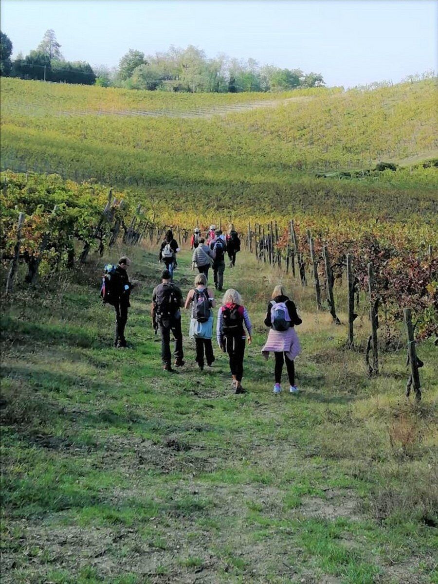 Camminata sulle Orme di San Colombano con Pranzo in Cantina desktop picture