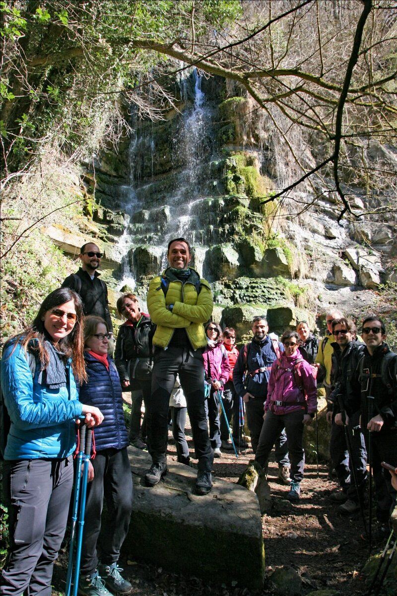 Il Parco del Monte Fuso: un Percorso tra Cervi e Daini desktop picture