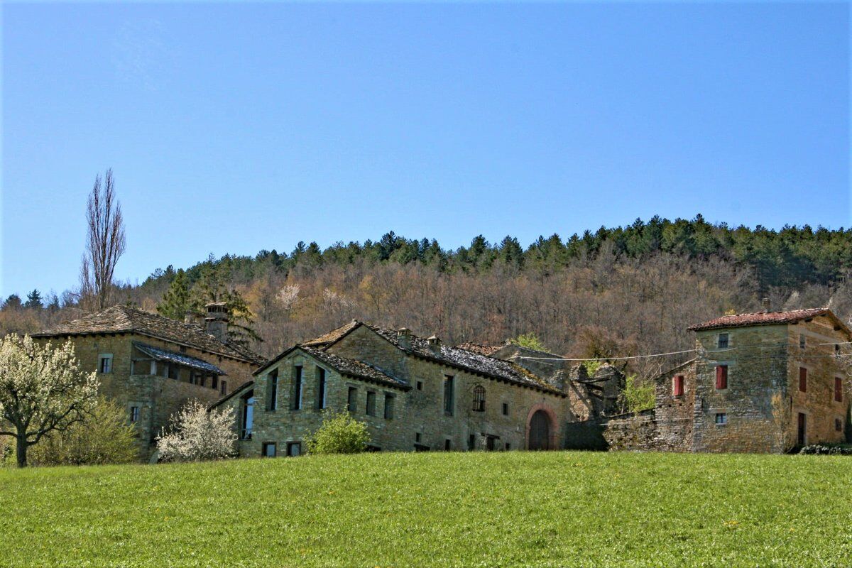 Il Parco del Monte Fuso: un Percorso tra Cervi e Daini desktop picture