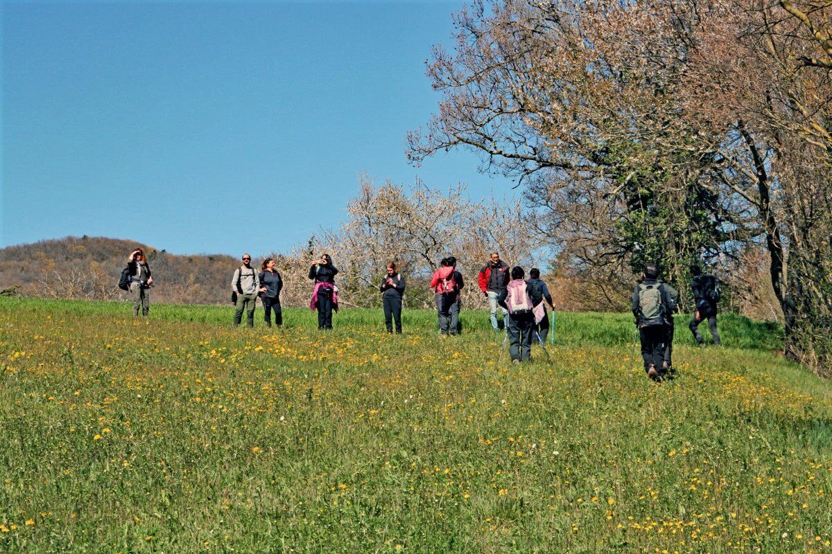 Il Parco del Monte Fuso: un Percorso tra Cervi e Daini Il Parco del Monte Fuso: un Percorso tra Cervi e Daini desktop picture