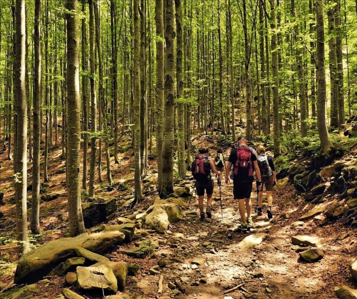 Il Lago Santo Parmense: Trekking in Simbiosi con la Natura Il Lago Santo Parmense: Trekking in Simbiosi con la Natura desktop picture