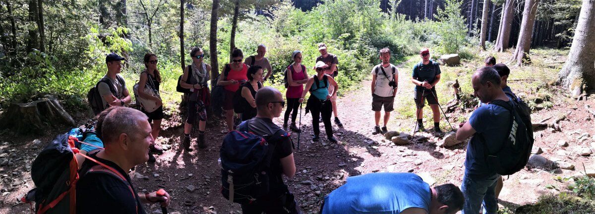 Il Lago Santo Parmense: Trekking in Simbiosi con la Natura Il Lago Santo Parmense: Trekking in Simbiosi con la Natura desktop picture