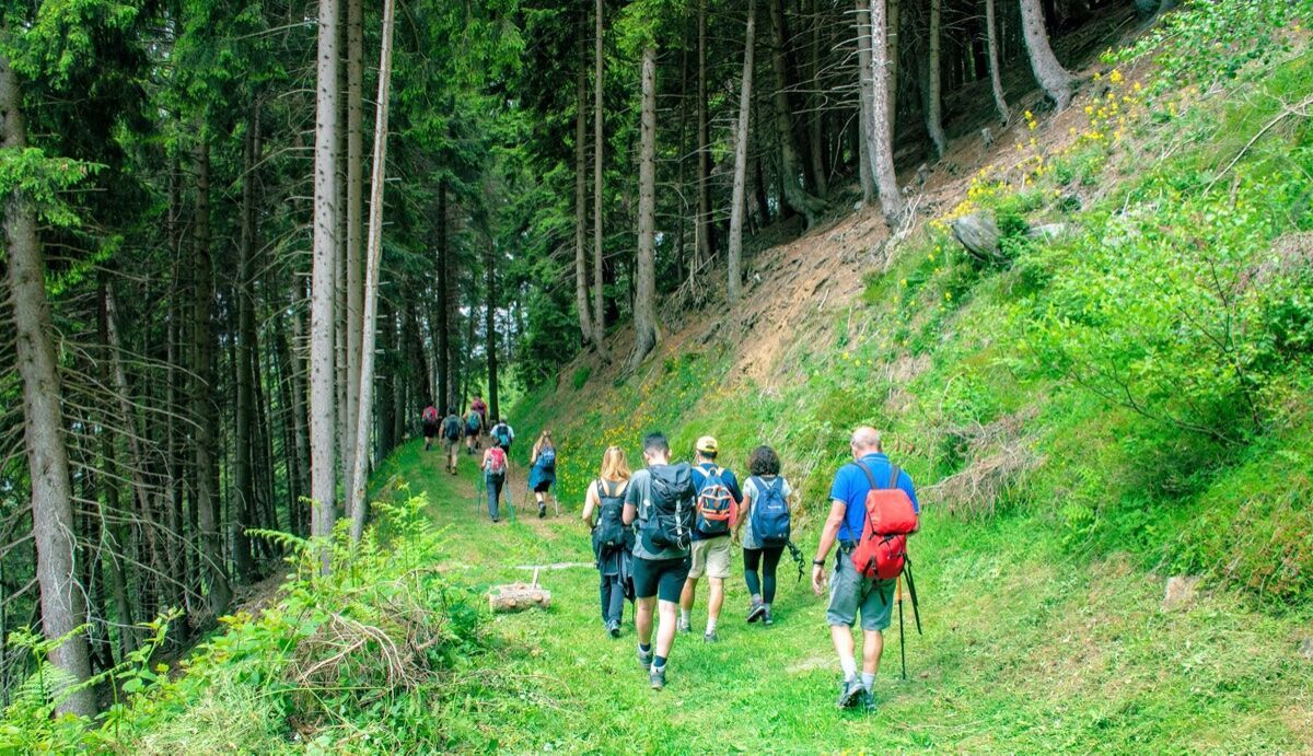 Trekking in Valsaviore: tra natura, malghe e sapori della tradizione Trekking in Valsaviore: tra natura, malghe e sapori della tradizione desktop picture