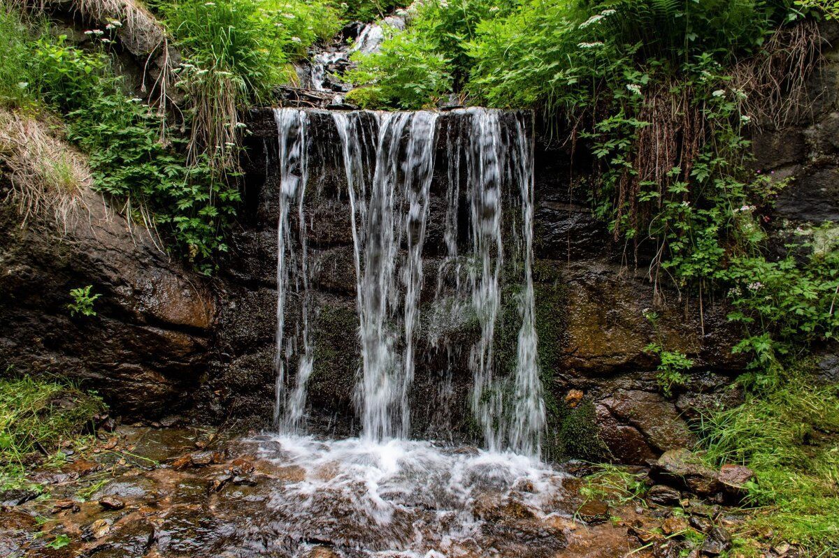 Trekking in Valsaviore: tra natura, malghe e sapori della tradizione desktop picture