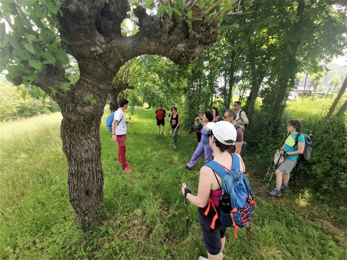Le Colline di Brogliano: Passeggiata e Aperitivo sul Vulcano Le Colline di Brogliano: Passeggiata e Aperitivo sul Vulcano desktop picture