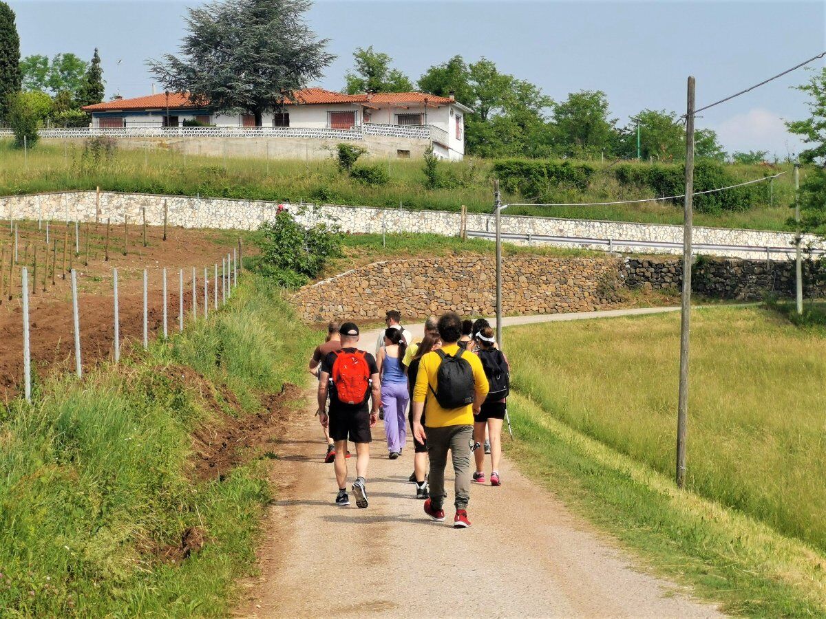 Le Colline di Brogliano: Passeggiata e Aperitivo sul Vulcano Le Colline di Brogliano: Passeggiata e Aperitivo sul Vulcano desktop picture