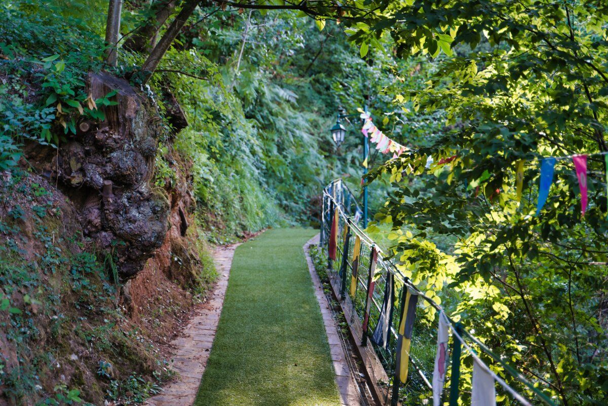 Trekking con Vista: Da Santa Margherita Ligure a Portofino desktop picture