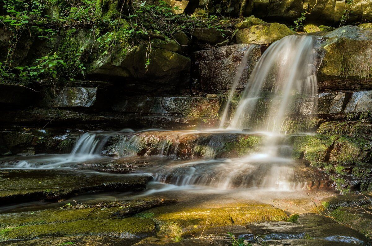 La magia di Vallombrosa: Camminata tra ruscelli e faggi desktop picture