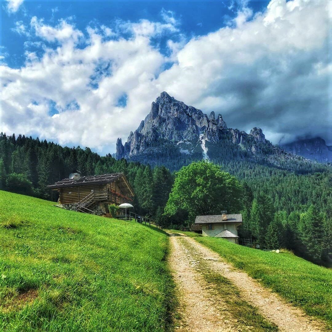 Escursione Panoramica in Val Canali: Tra Boschi e Masi del Primiero desktop picture