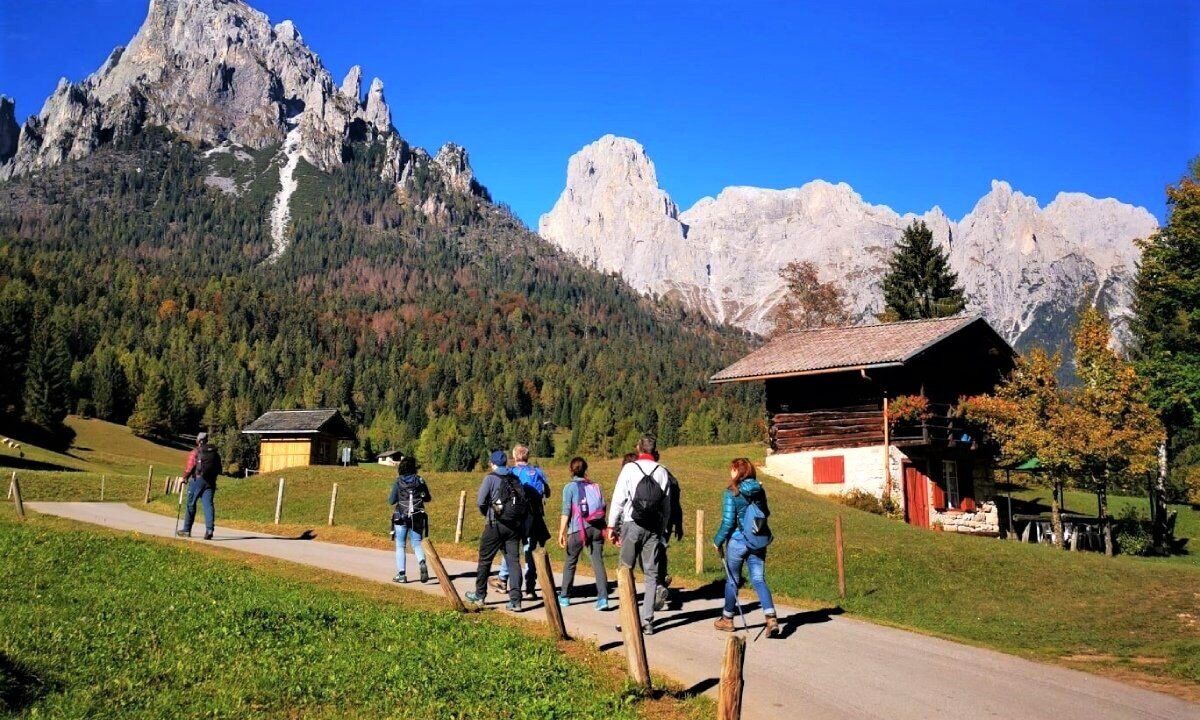 Escursione Panoramica in Val Canali: Tra Boschi e Masi del Primiero desktop picture