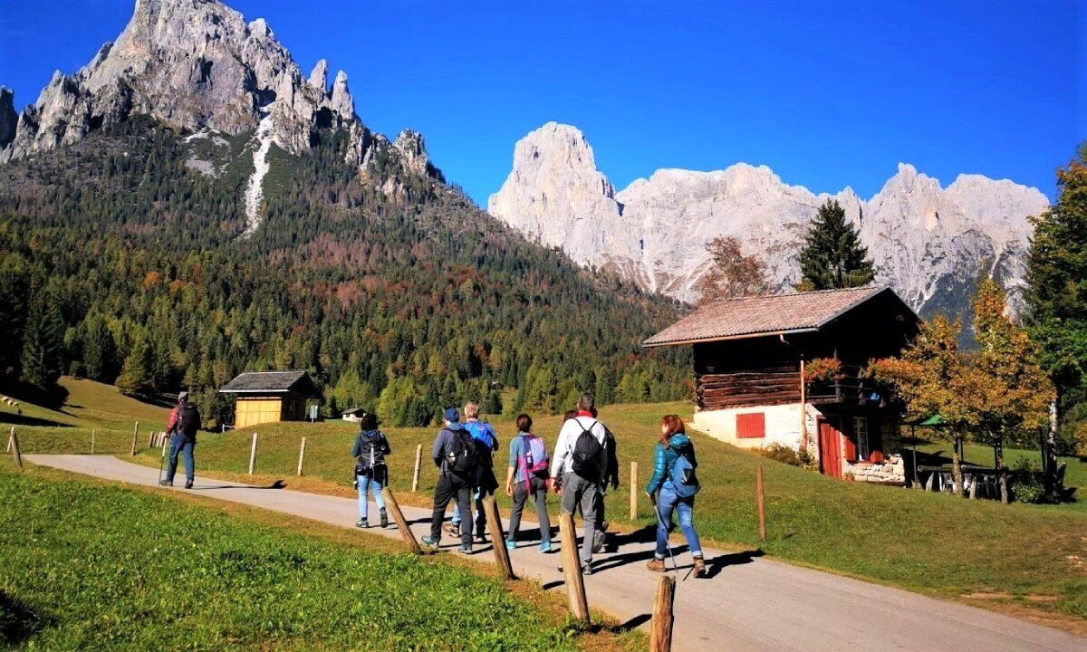 Escursione Panoramica in Val Canali: Tra Boschi e Masi del Primiero Escursione Panoramica in Val Canali: Tra Boschi e Masi del Primiero desktop picture