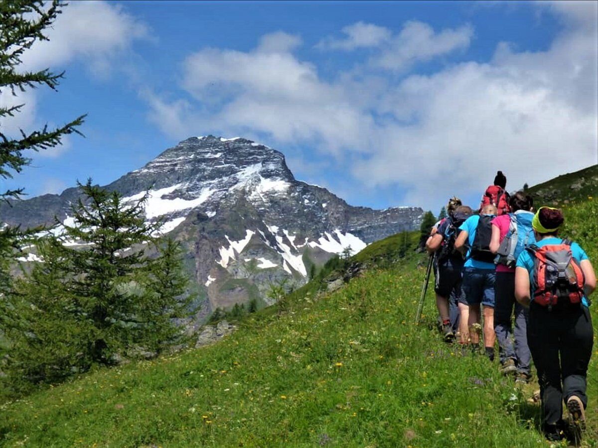 Lungo il Sentiero dei Fiori: L'Alpe Veglia desktop picture