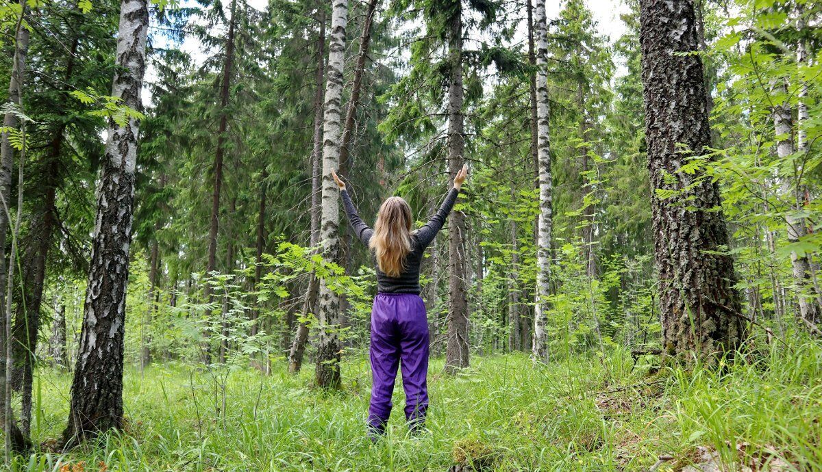 Bagno di Bosco nell'Alto Vergante tra Luce e Buio Bagno di Bosco nell'Alto Vergante tra Luce e Buio desktop picture