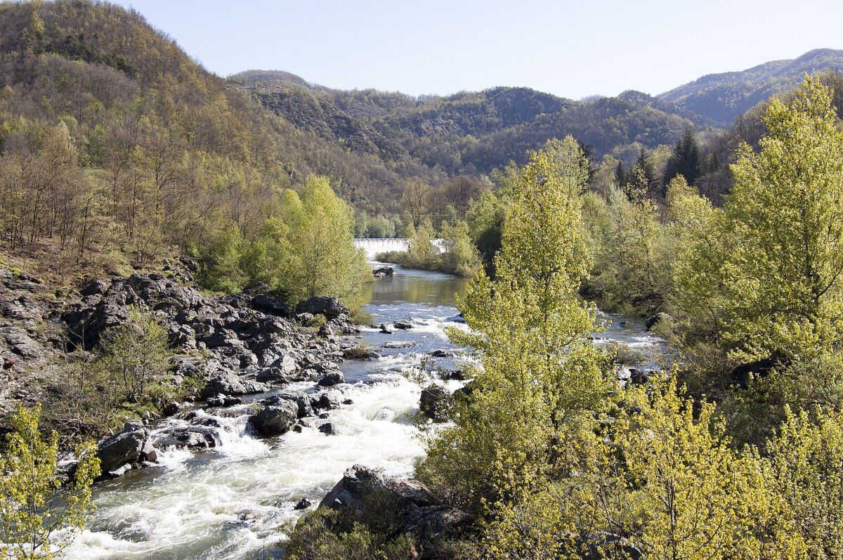 Passeggiata Panoramica dalla Torre al Torrente: La Natura della Valle dell'Erro desktop picture