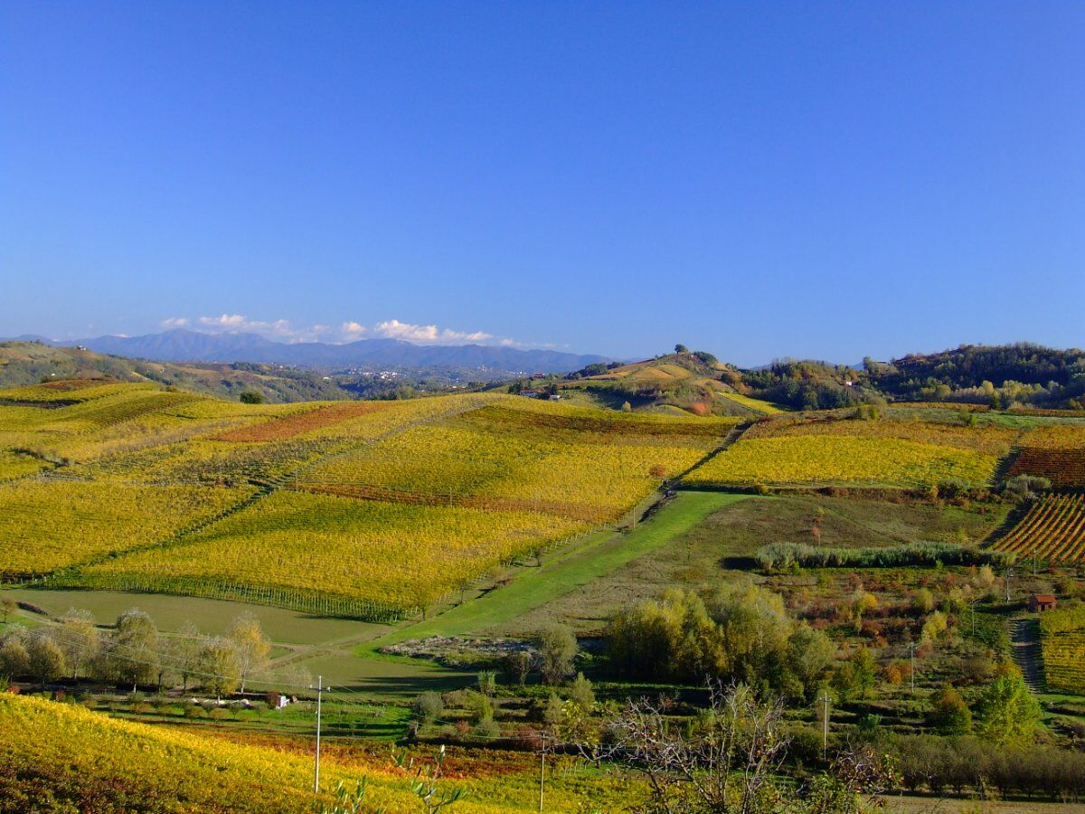 Passeggiata Panoramica dalla Torre al Torrente: La Natura della Valle dell'Erro desktop picture