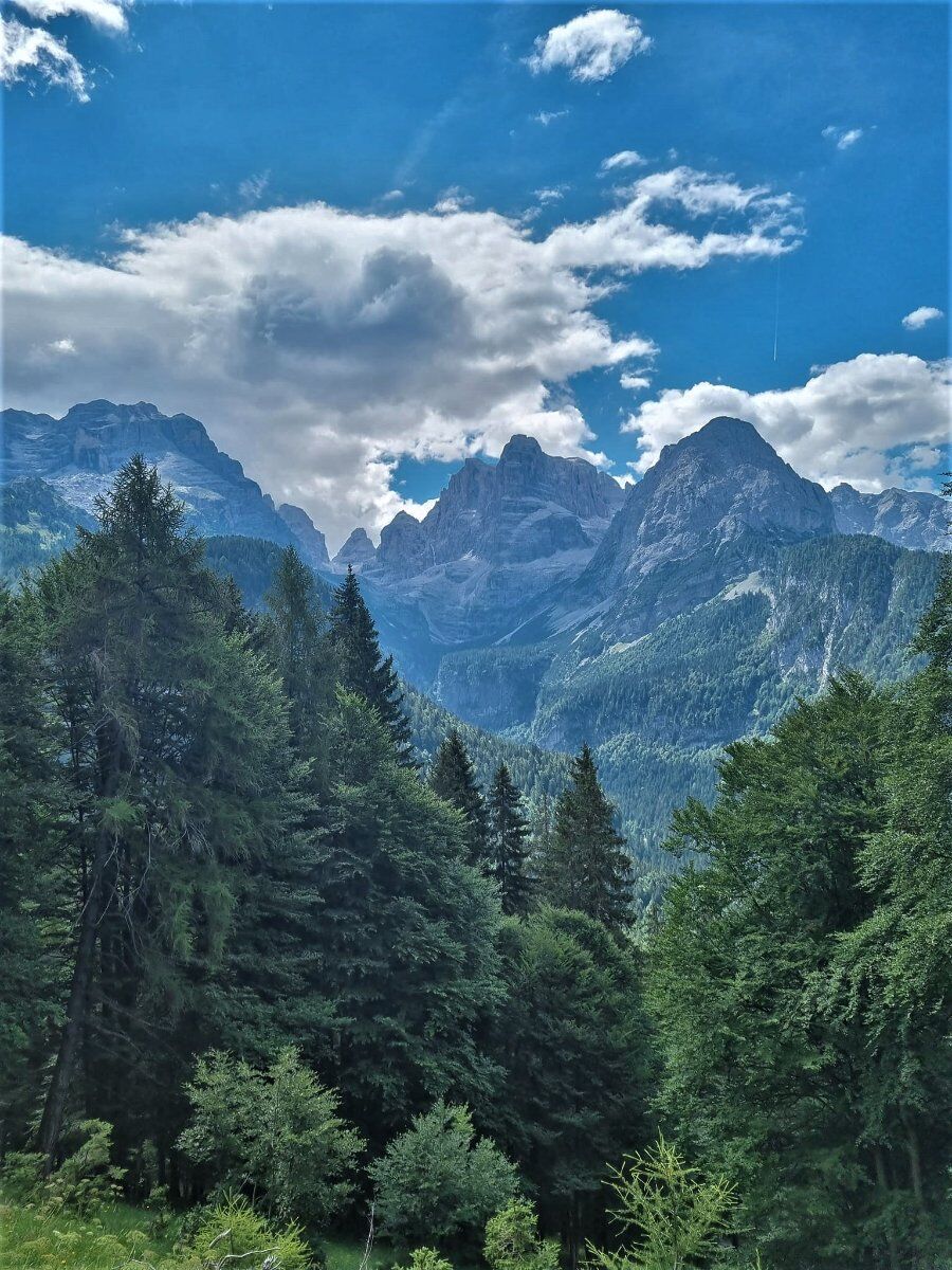 Le Dolomiti di Brenta: Escursione alle Cascate della Vallesinella desktop picture