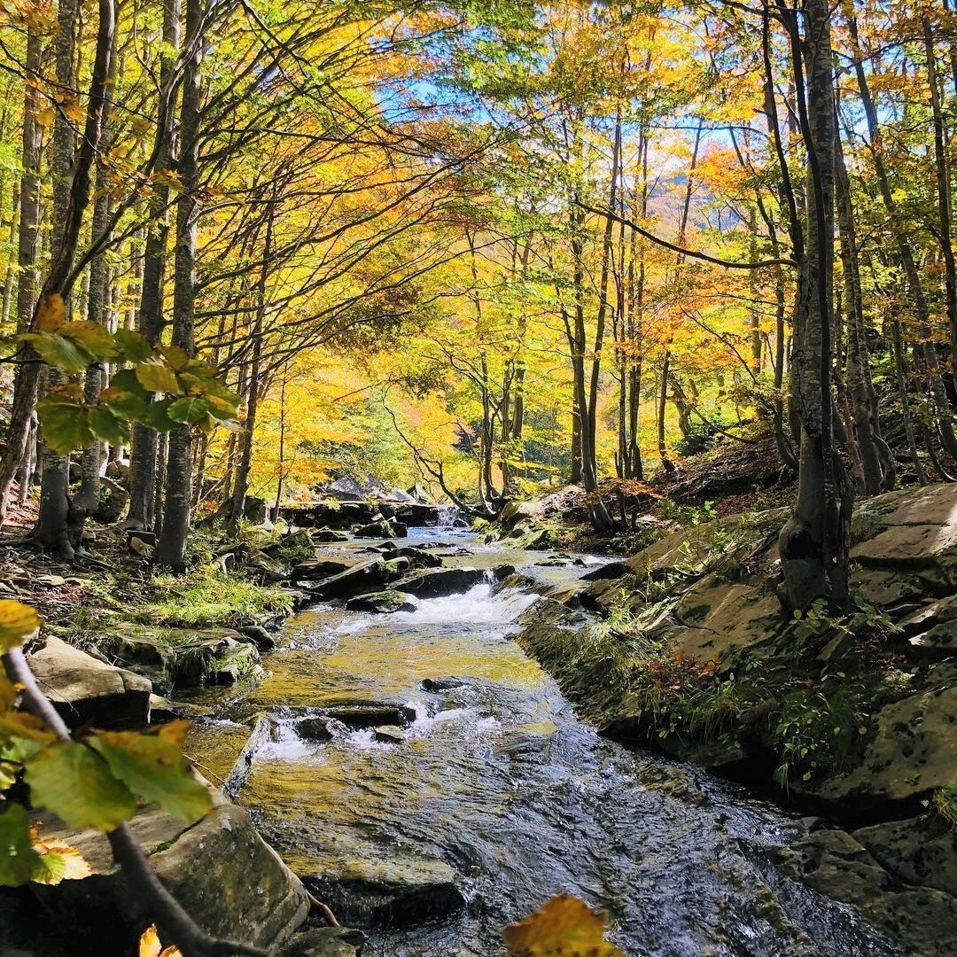 I Fiabeschi Sentieri del Parco dei 100 Laghi I Fiabeschi Sentieri del Parco dei 100 Laghi desktop picture
