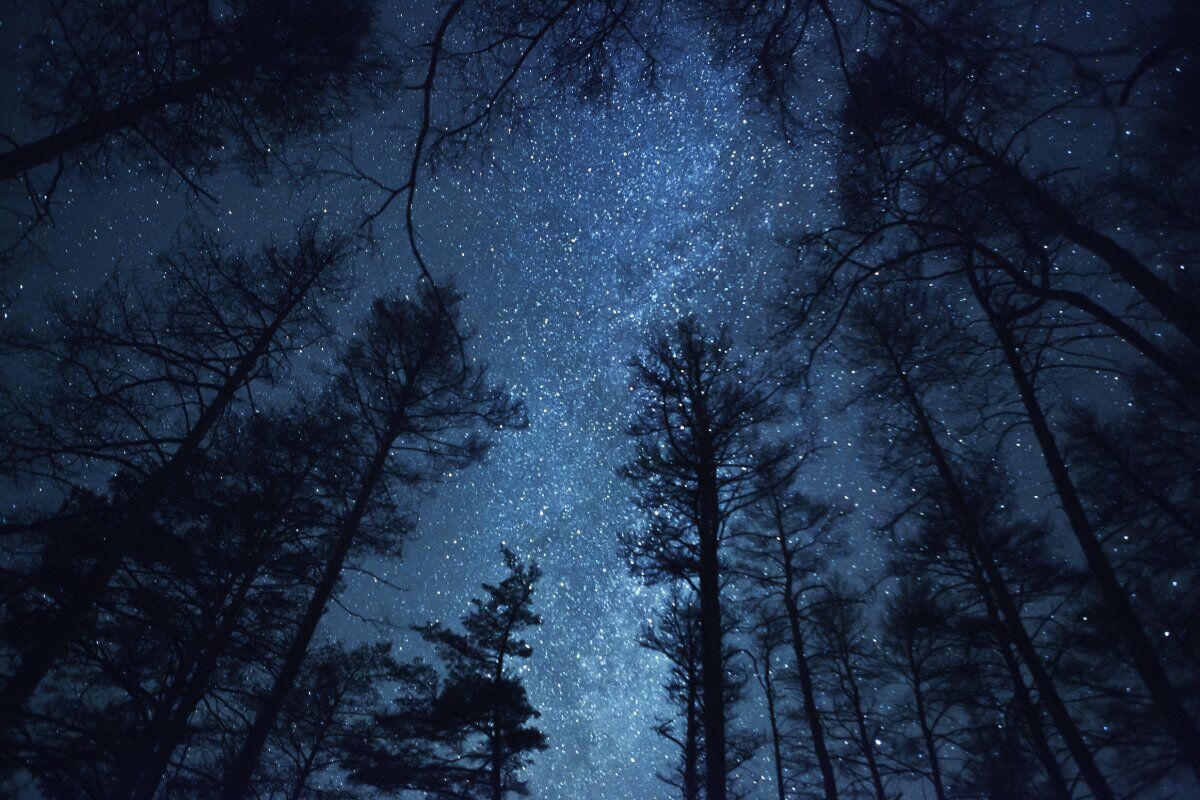 Notte di San Lorenzo: Passeggiata sotto le stelle al Pian della Mussa desktop picture