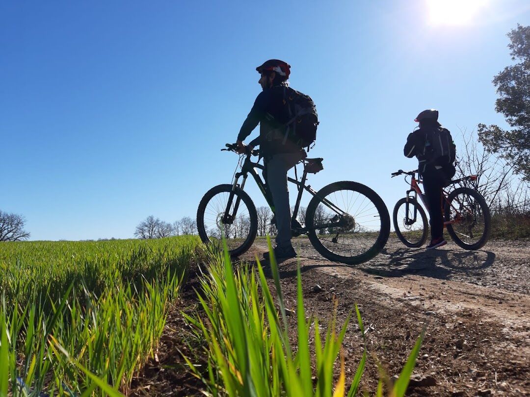 E-Bike Tour del Lago di Bolsena (Bici Inclusa) desktop picture