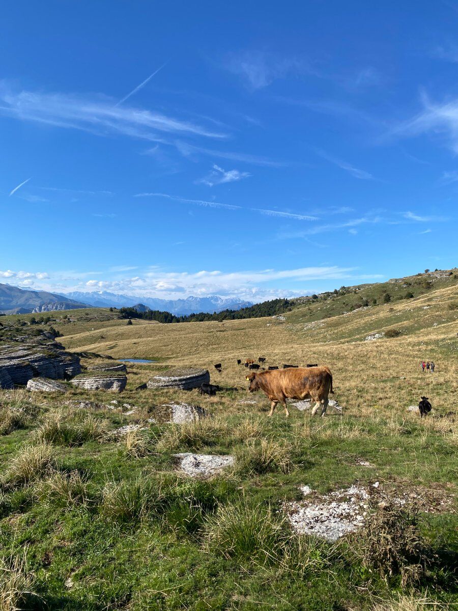 Escursione tra le Malghe della Lessinia Occidentale Escursione tra le Malghe della Lessinia Occidentale desktop picture