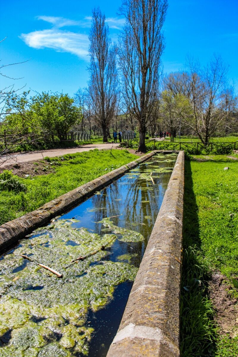 Festa della Donna: Passeggiata tra Appia Antica e Caffarella desktop picture