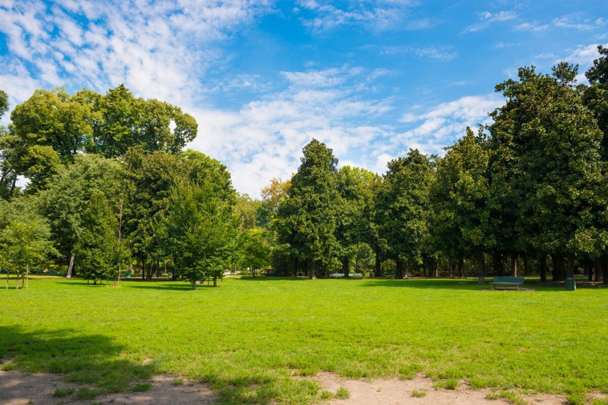 Bagno di Bosco: Shinrin-Yoku ai Giardini Pubblici Idro Montanelli di Milano desktop picture