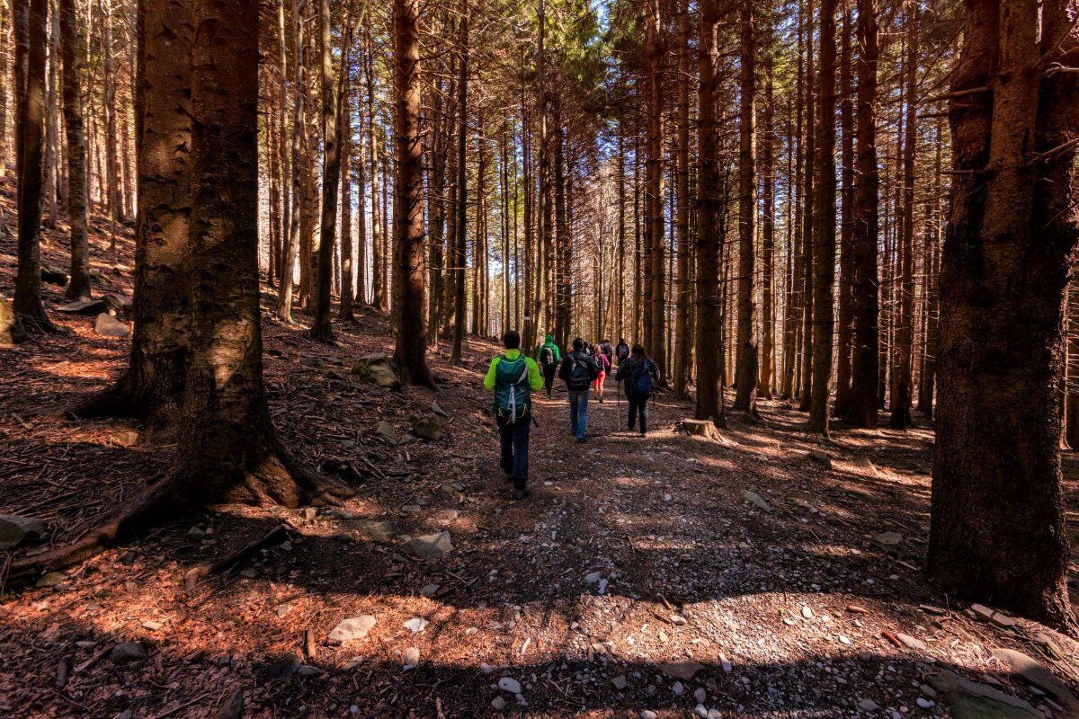 Sui Sentieri di Maria Luigia: Trekking e Cena al Lago Santo Parmense desktop picture