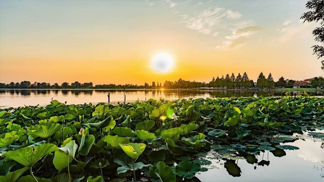Passeggiata lungo il Lago Superiore di Mantova Passeggiata lungo il Lago Superiore di Mantova desktop picture