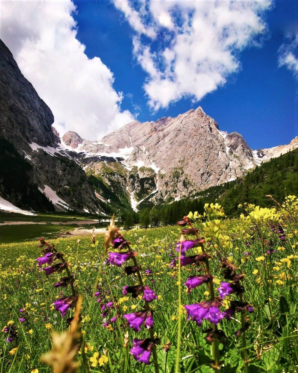 Trekking lungo i fiabeschi sentieri della Val Ombretta Trekking lungo i fiabeschi sentieri della Val Ombretta desktop picture