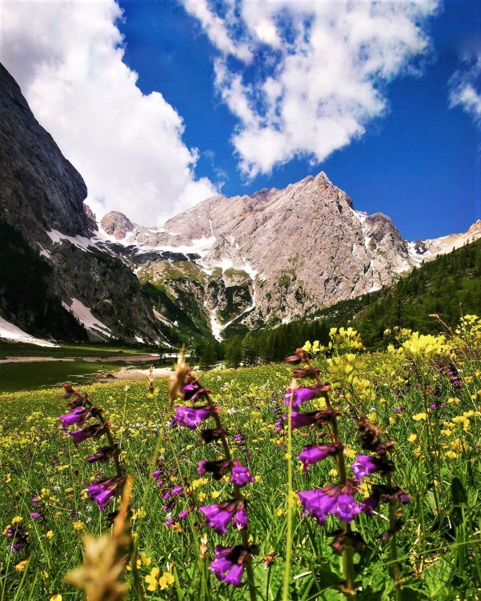 Trekking lungo i fiabeschi sentieri della Val Ombretta desktop picture