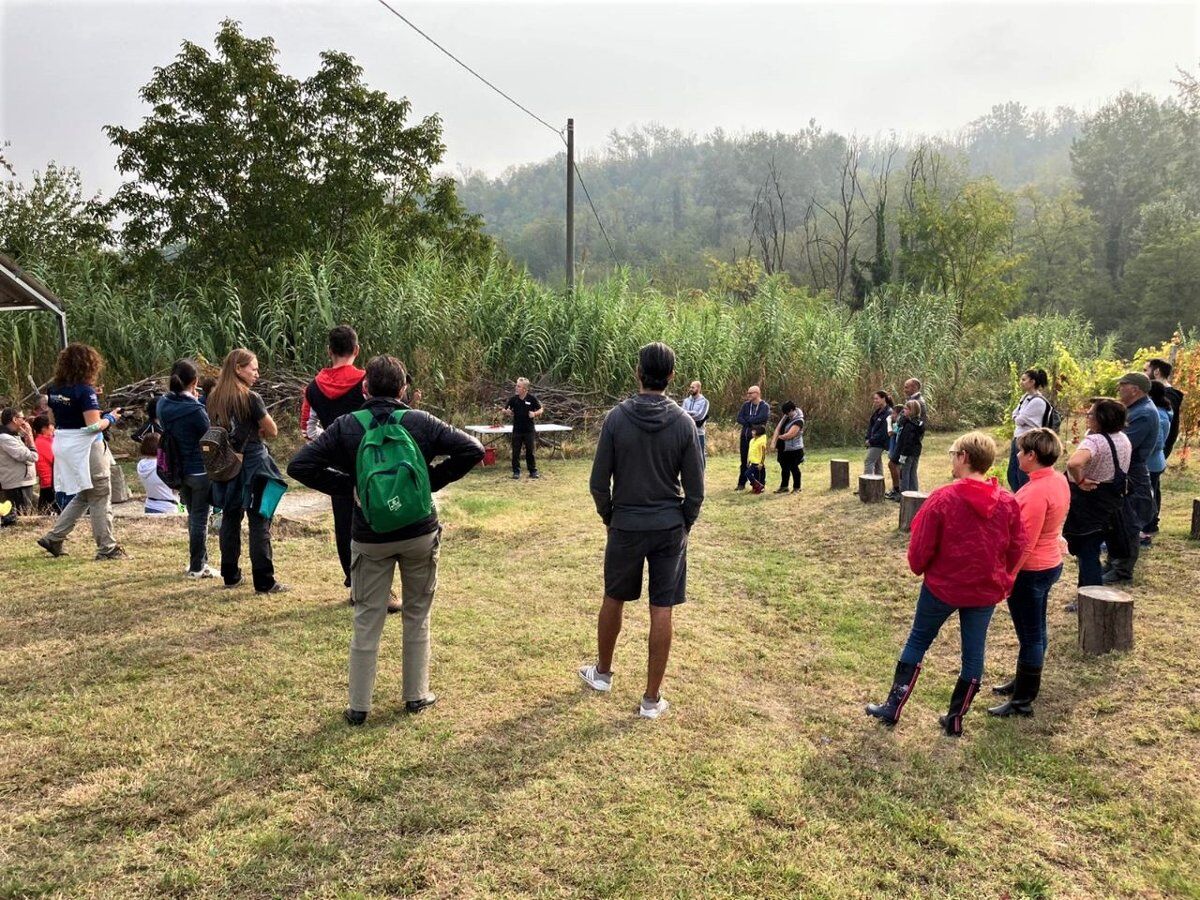 La Vendemmia in Monferrato: tra raccolta e degustazioni La Vendemmia in Monferrato: tra raccolta e degustazioni desktop picture