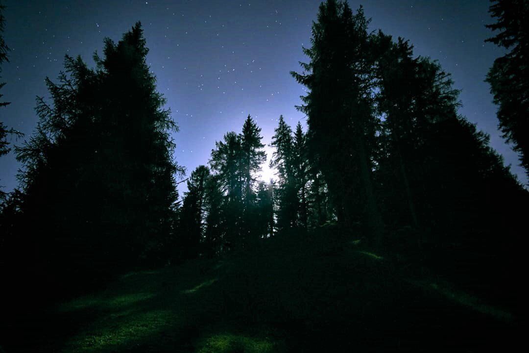 Halloween nel Bosco del Monferrato: Escursione e Cena con Bagna Cauda desktop picture