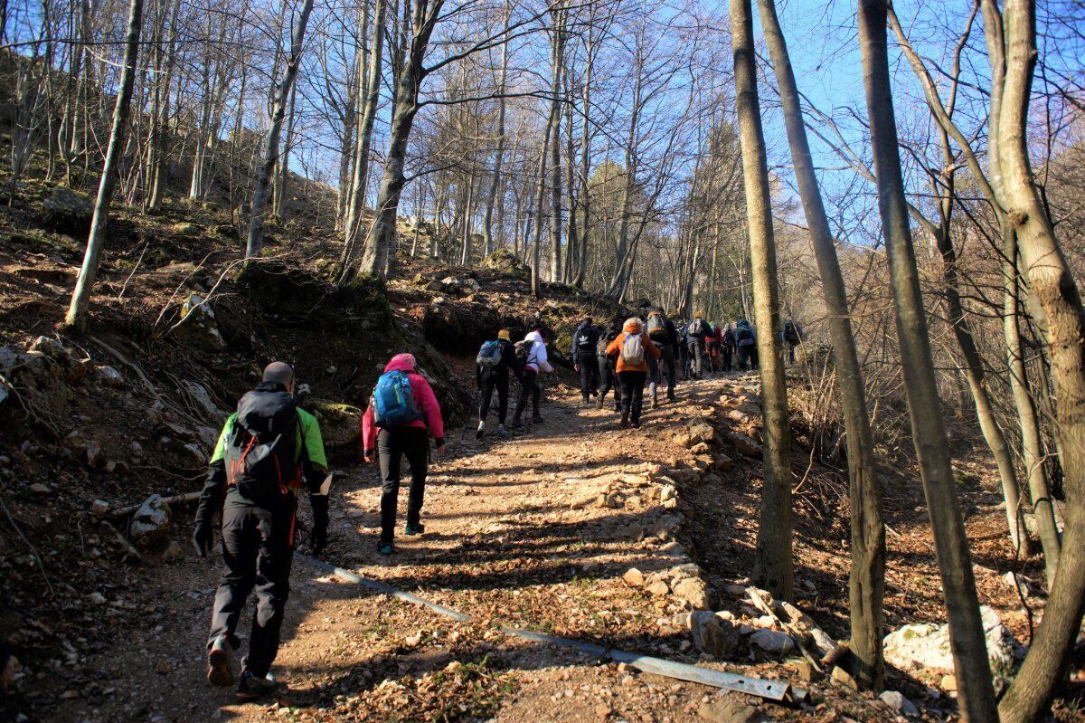 Trekking panoramico sul Monte Baffelan desktop picture